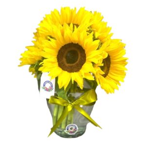 Girasoles Archives - Flores Vivas en México